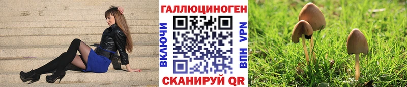 Псилоцибиновые грибы мухоморы  цена   Волосово 